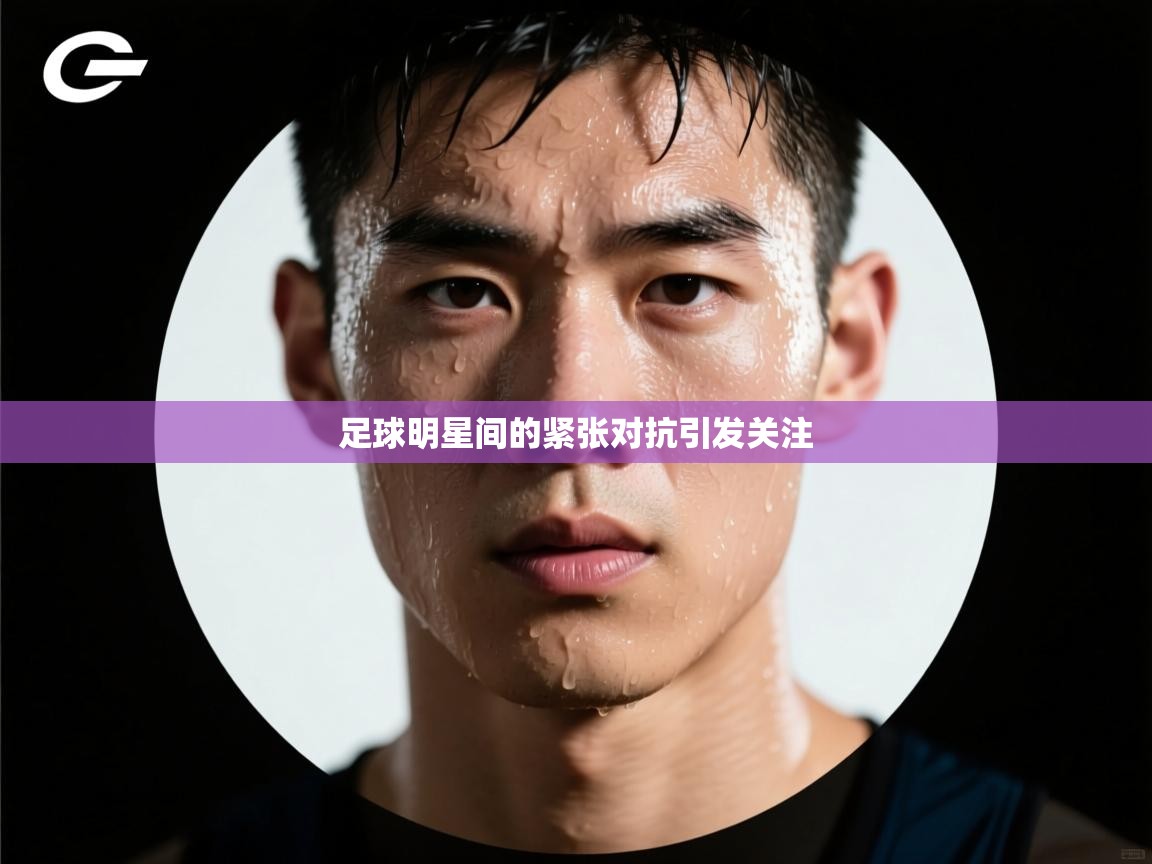 开云手机版-足球明星间的紧张对抗引发关注  第4张