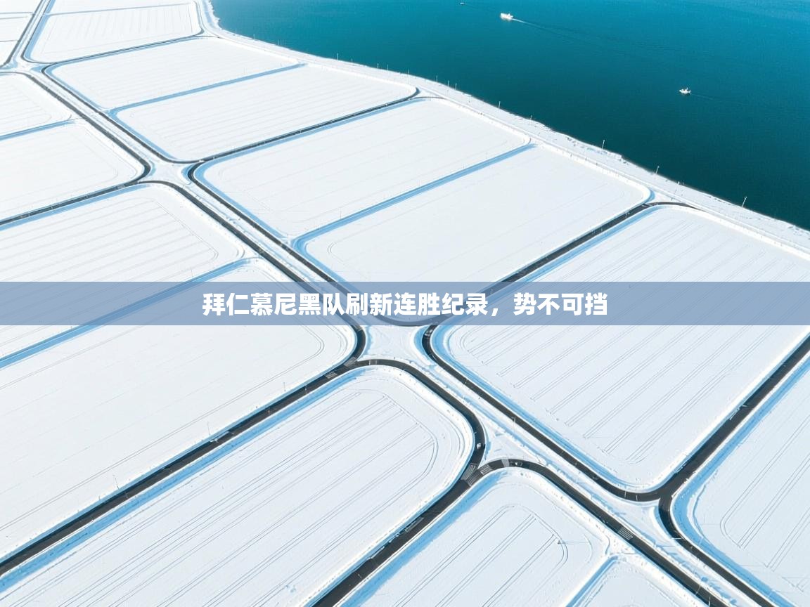 开云中国kaiyun·体育官方网站-拜仁慕尼黑队刷新连胜纪录,势不可挡 第4张