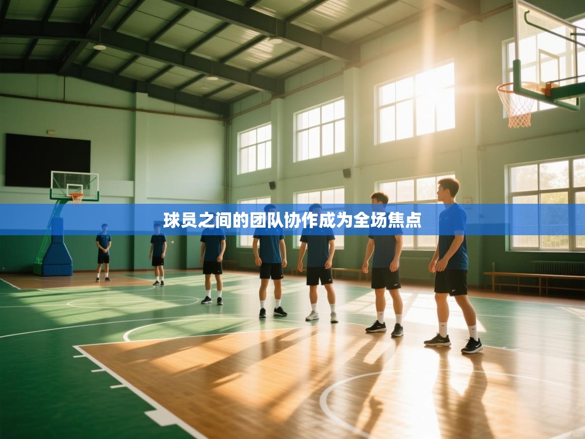 开运体育入口-球员之间的团队协作成为全场焦点 第3张