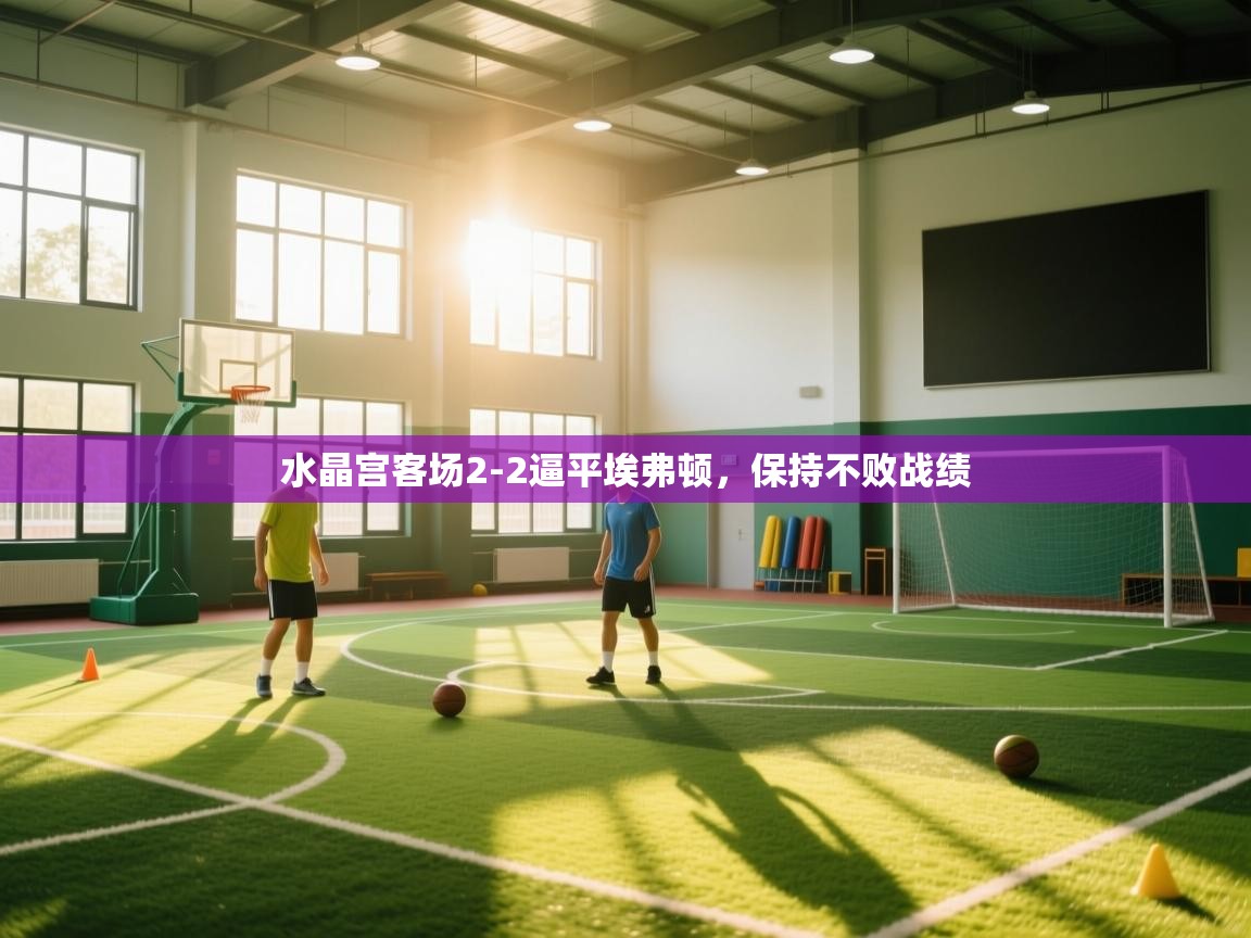 开云体育app官网入口-水晶宫客场2-2逼平埃弗顿，保持不败战绩  第1张