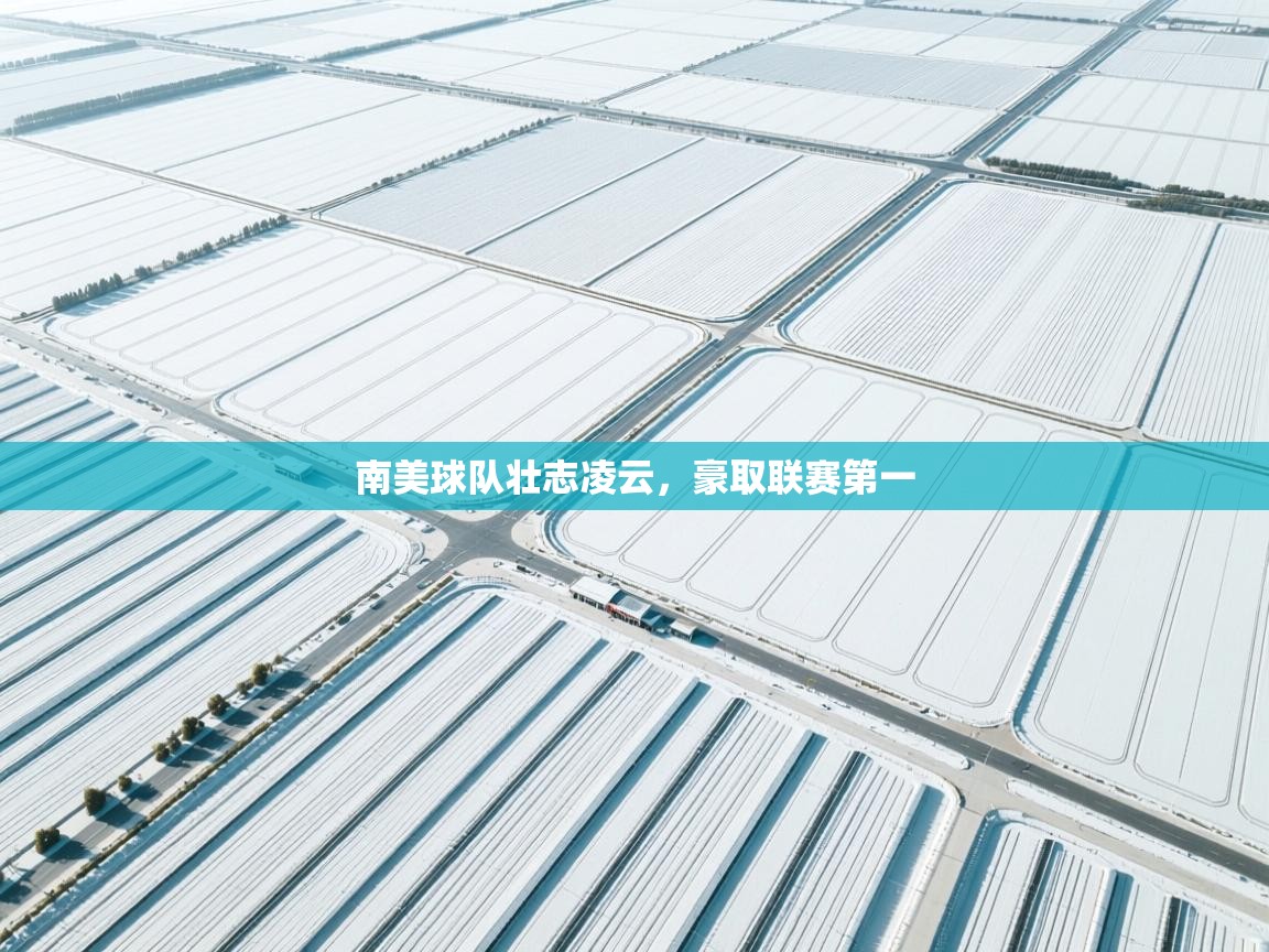 -南美球队壮志凌云，豪取联赛第一  第1张