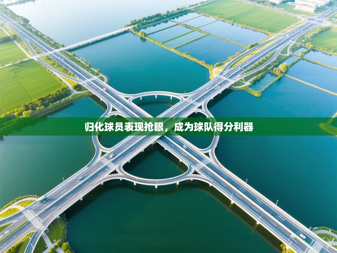 开云数据-归化球员表现抢眼，成为球队得分利器  第2张