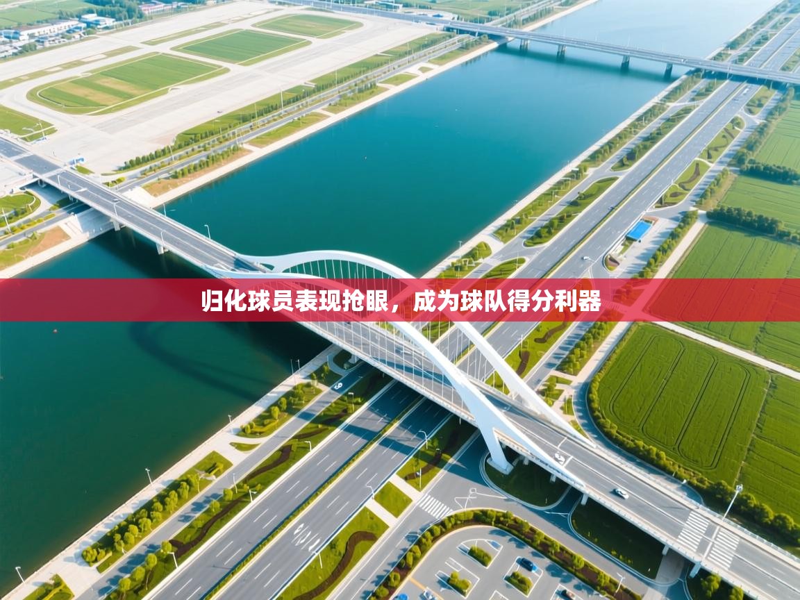 开云数据-归化球员表现抢眼，成为球队得分利器  第3张