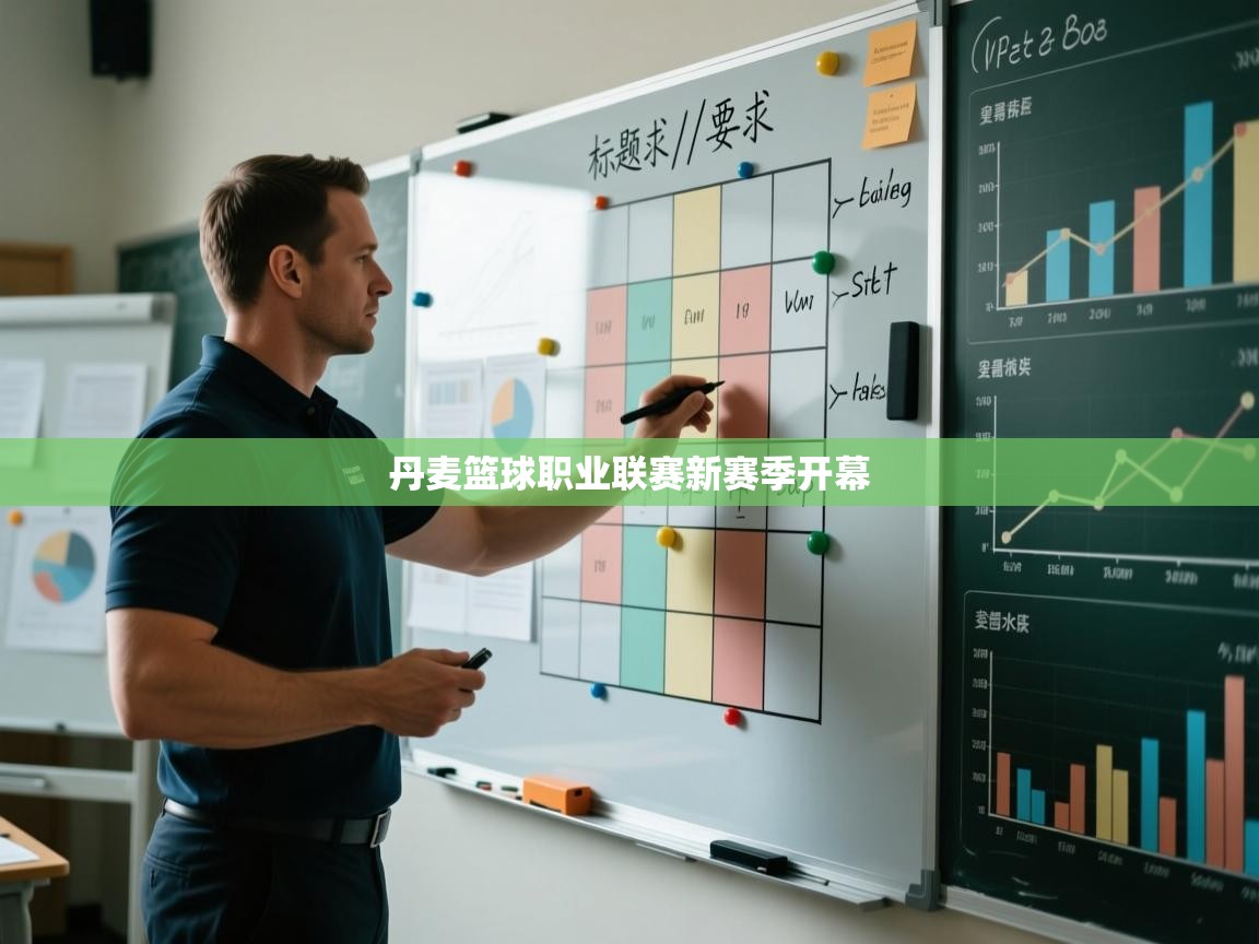 开云体育app安装-丹麦篮球职业联赛新赛季开幕  第2张