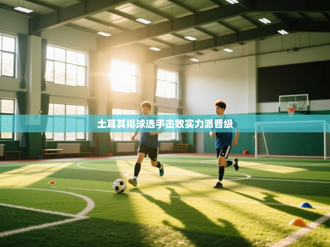 开云体育app官网入口-土耳其排球选手击败实力派晋级